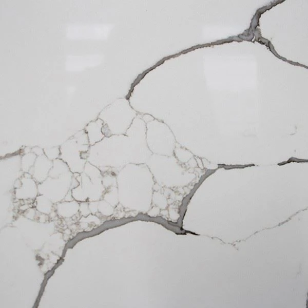 Calacatta Tree Polished